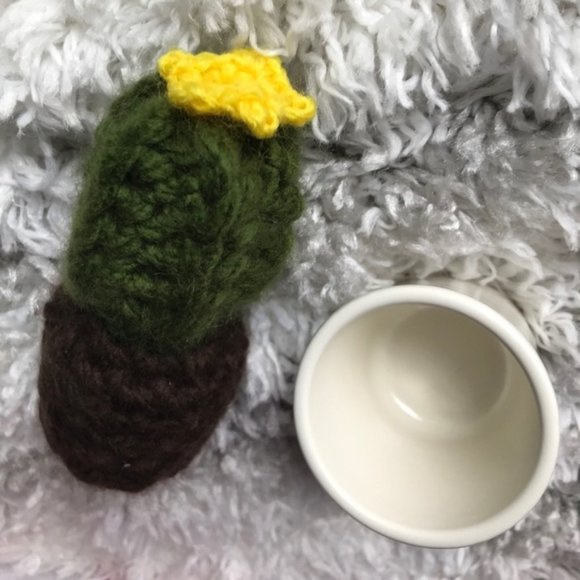 Cactus succulent plant gift - Picture 2 of 5